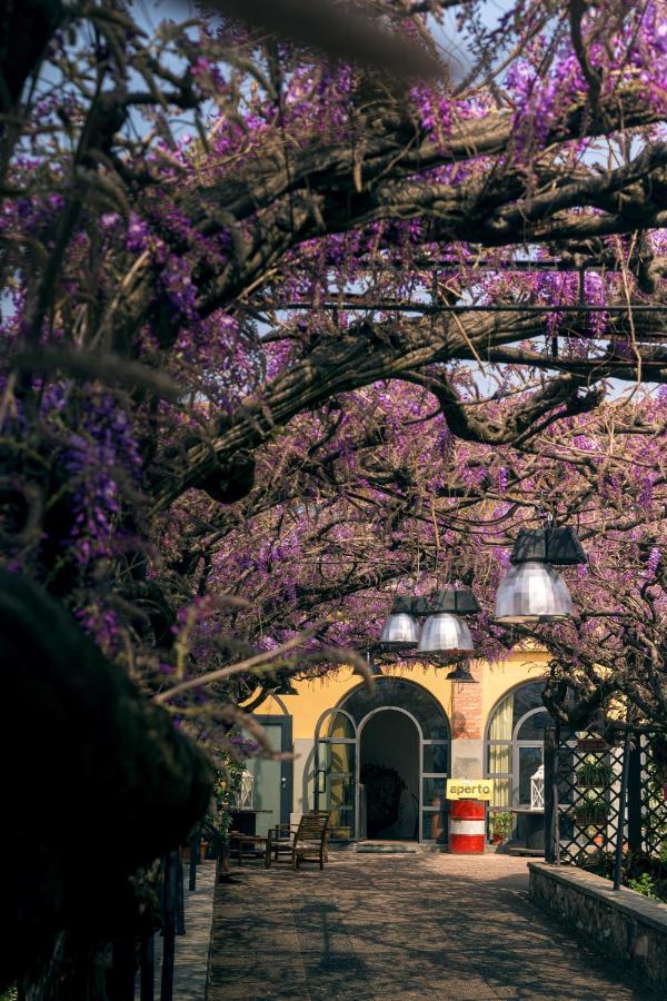 Bed & Breakfast Il Glicine Ristorante