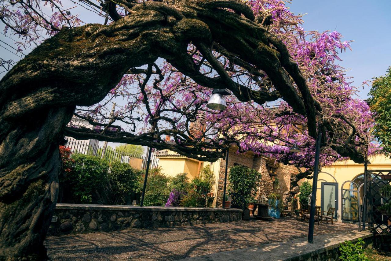 Il Glicine Ristorante Bed & Breakfast