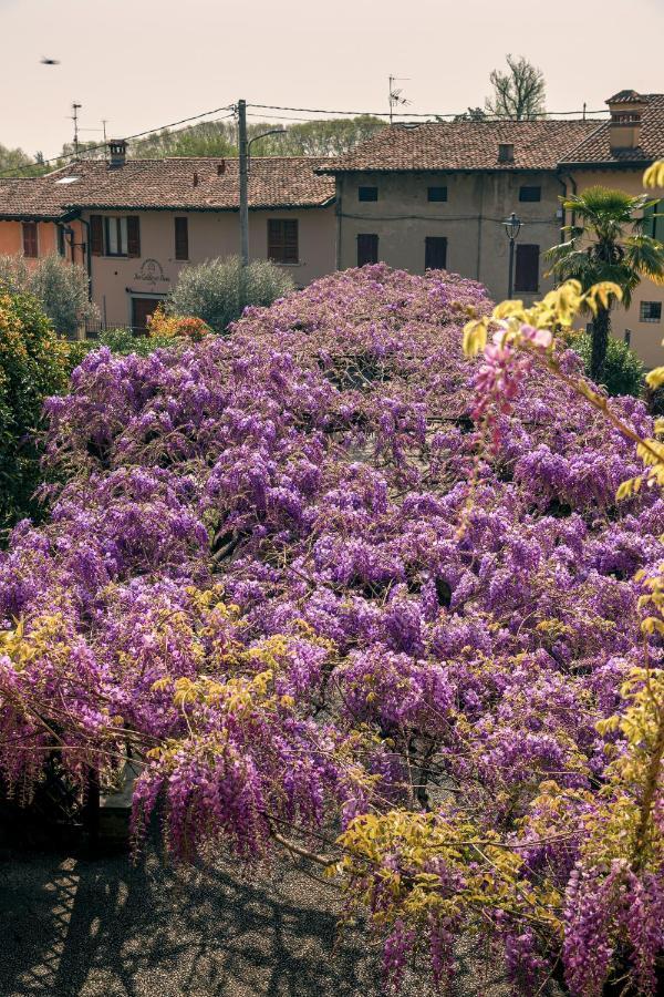 Il Glicine Ristorante Bed & Breakfast *