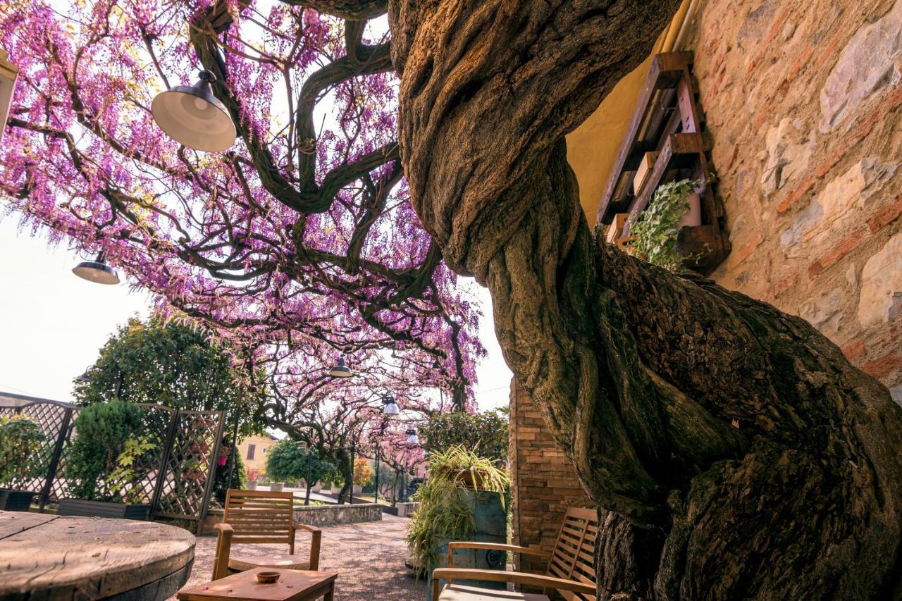 Il Glicine Ristorante * Cazzago San Martino