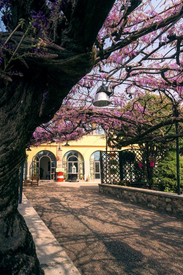 Bed & Breakfast Il Glicine Ristorante *
