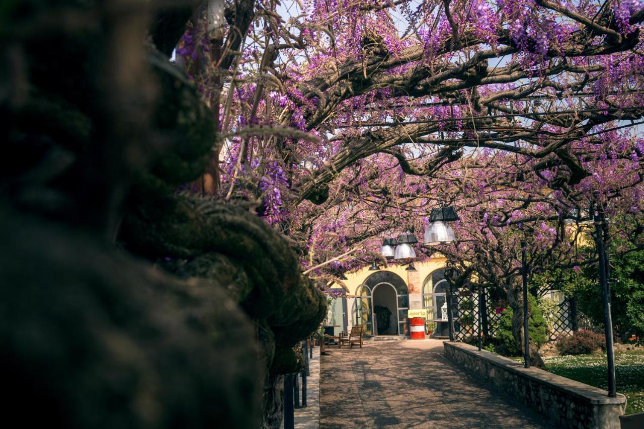 Il Glicine Ristorante Bed & Breakfast
